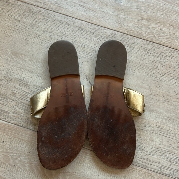 Sandal - Picture 5 of 6